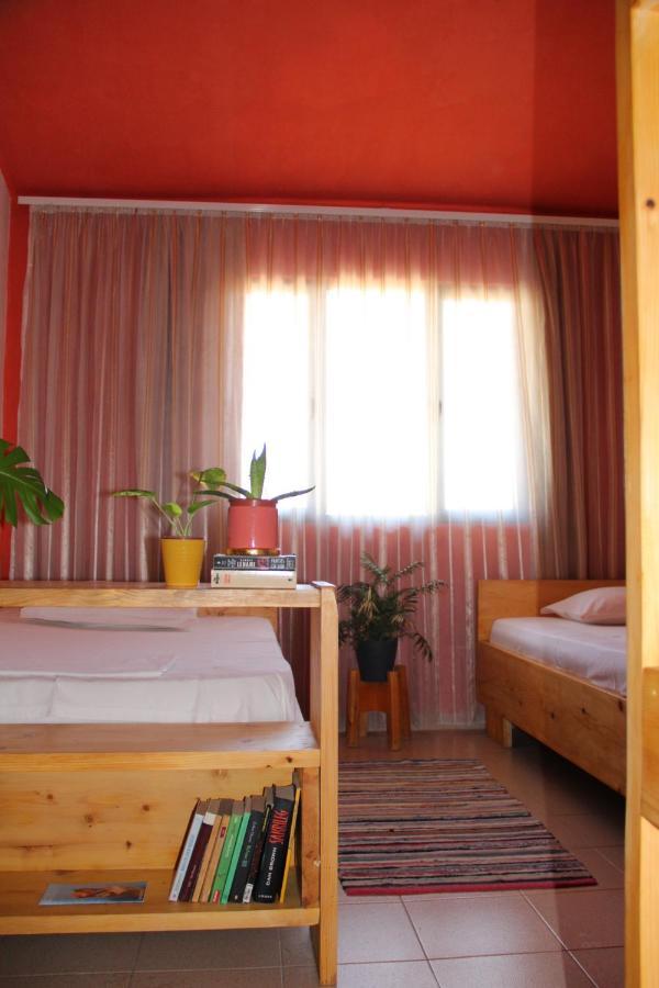 Cozy Big Apartment With Balcony Tiranë Luaran gambar